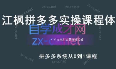 江枫老师·拼多多实操课程-皮皮网创