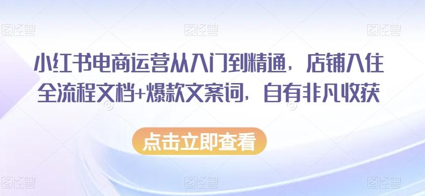 小红书电商运营从入门到精通，店铺入住全流程文档+爆款文案词，自有非凡收获-皮皮网创