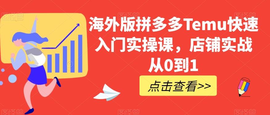 海外版拼多多Temu快速入门实操课，店铺实战从0到1-皮皮网创