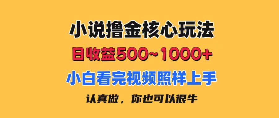 小说撸金核心玩法，日收益500-1000+，小白看完照样上手，0成本有手就行-皮皮网创