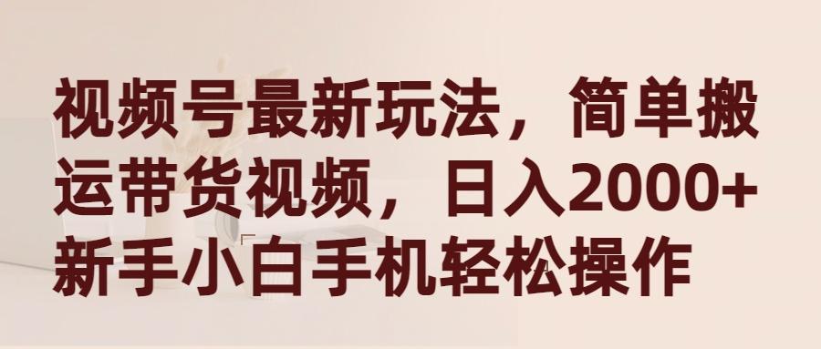 (9486期)视频号最新玩法，简单搬运带货视频，日入2000+，新手小白手机轻松操作-皮皮网创