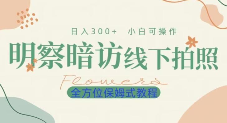 明拍暗拍项目0成本投入日入300+小白可操作保姆式全方位教程-皮皮网创