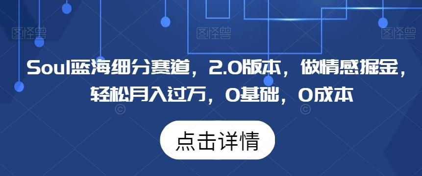 Soul蓝海细分赛道，2.0版本，做情感掘金，轻松月入过万，0基础，0成本-皮皮网创
