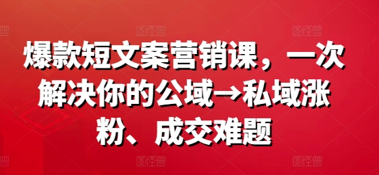 爆款短文案营销课，一次解决你的公域→私域涨粉、成交难题-皮皮网创