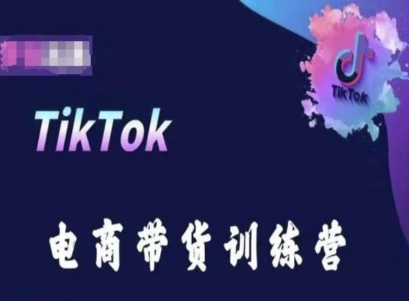 TikTok电商带货训练营，跟随时代潮流，跨境掘金-皮皮网创