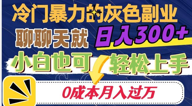 冷门暴利的副业项目，聊聊天就能日入300+，0成本月入过万【揭秘】-皮皮网创