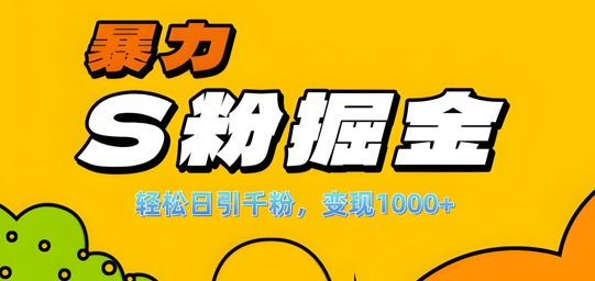 单人单机日引千粉，变现1k+，S粉流量掘金计划攻略【揭秘】-皮皮网创