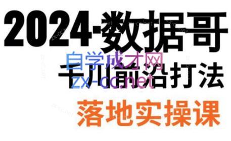 数据哥·2024年千川前沿打法落地实操课-皮皮网创