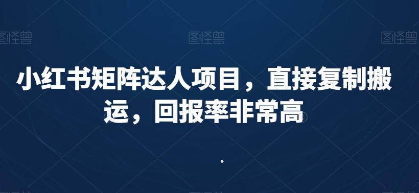 小红书矩阵达人项目，直接复制搬运，回报率非常高-皮皮网创