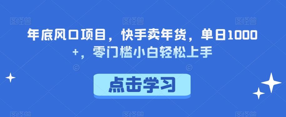 年底风口项目，快手卖年货，单日1000+，零门槛小白轻松上手-皮皮网创