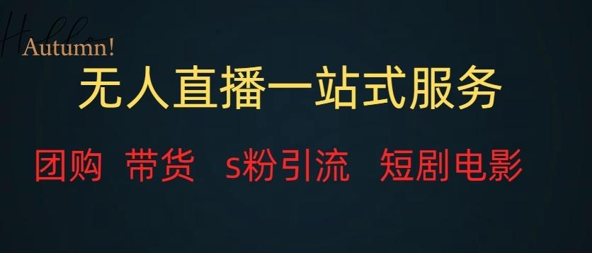 无人直播一站式服务（教程以及变现方式）-皮皮网创