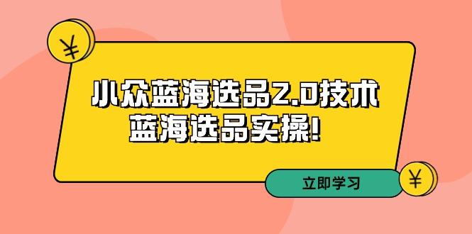 拼多多培训第33期：小众蓝海选品2.0技术-蓝海选品实操！-皮皮网创