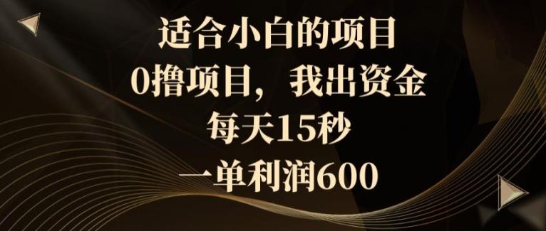 适合小白的项目，0撸项目，我出资金，每天15秒，一单利润600-皮皮网创