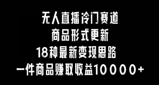 无人直播冷门赛道，商品形式更新，18种变现思路，一件商品赚取收益10000+【揭秘】-皮皮网创