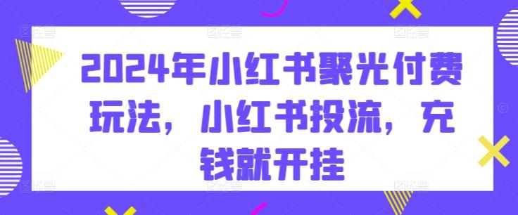 2024年小红书聚光付费玩法，小红书投流，充钱就开挂-皮皮网创