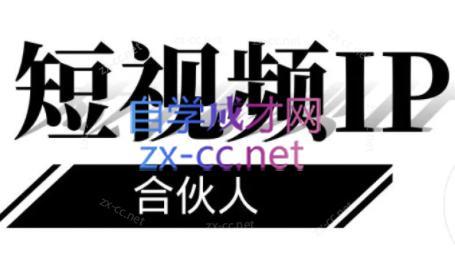 铭则老师·短视频IP合伙人(更新24年)-皮皮网创