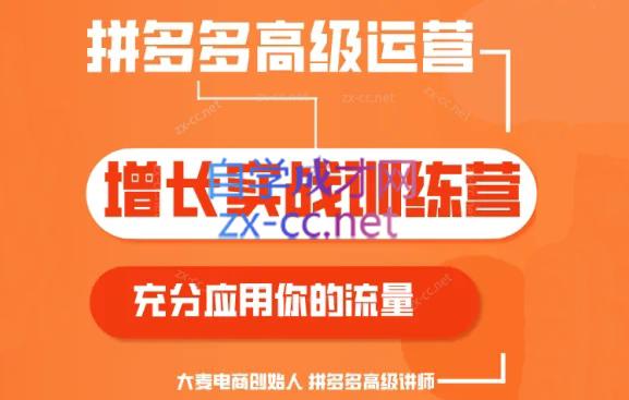 大麦老师·拼多多单品爆款打造课程(更新6月)-皮皮网创
