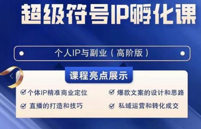超级符号IP孵化高阶课，建立流量思维底层逻辑，打造属于自己IP（51节课）-皮皮网创