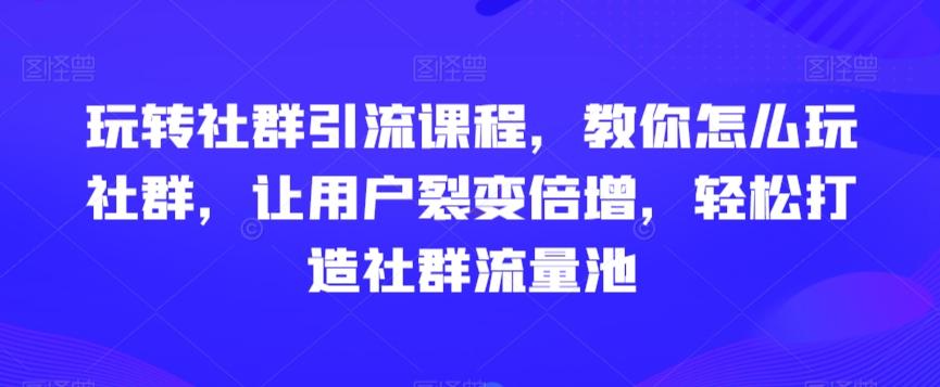 玩转社群引流课程，教你怎么玩社群，让用户裂变倍增，轻松打造社群流量池-皮皮网创