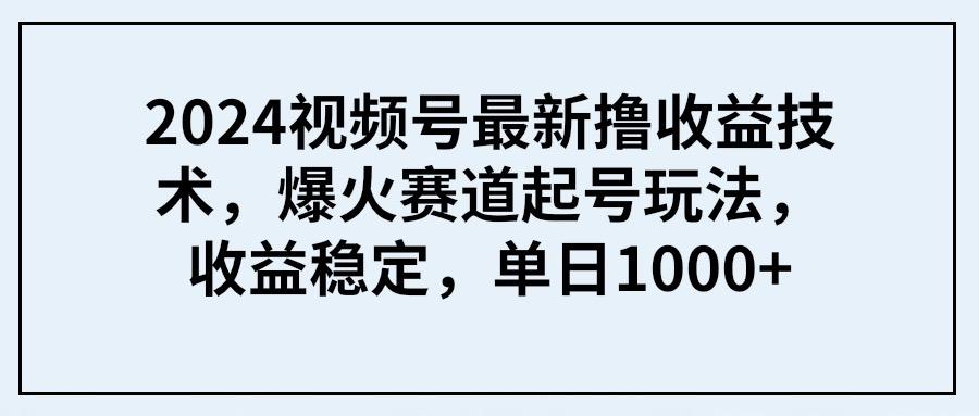 (9651期) 2024视频号最新撸收益技术，爆火赛道起号玩法，收益稳定，单日1000+-皮皮网创