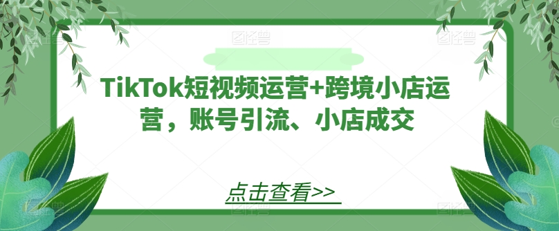 TikTok短视频运营+跨境小店运营，账号引流、小店成交-皮皮网创