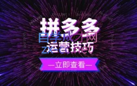 力辛电商·拼多多强付费店群玩法-皮皮网创