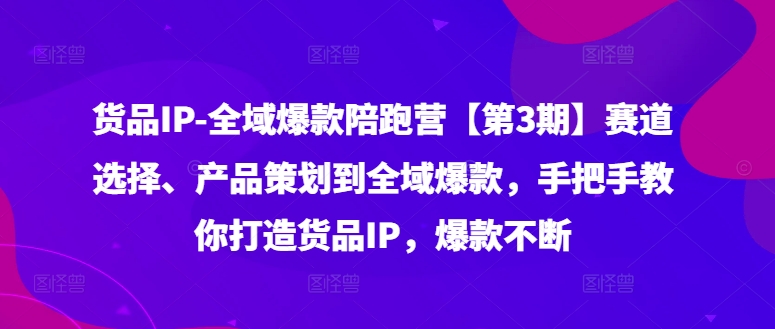 货品IP全域爆款陪跑营【第3期】赛道选择、产品策划到全域爆款，手把手教你打造货品IP，爆款不断-皮皮网创