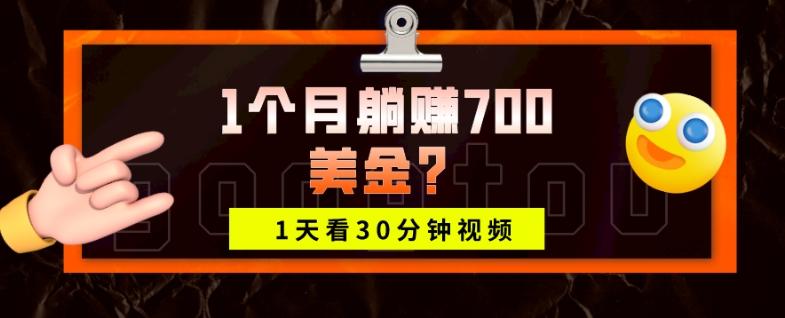 1天看30分钟视频，1个月躺赚700美金？-皮皮网创