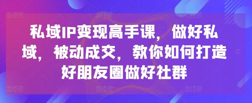 私域IP变现高手课，做好私域，被动成交，教你如何打造好朋友圈做好社群-皮皮网创