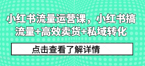 小红书流量运营课，小红书搞流量+高效卖货+私域转化-皮皮网创