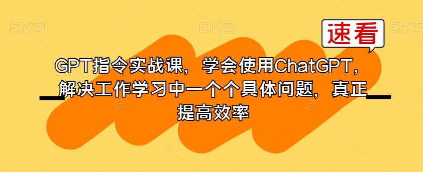 GPT指令实战课，学会使用ChatGPT，解决工作学习中一个个具体问题，真正提高效率-皮皮网创
