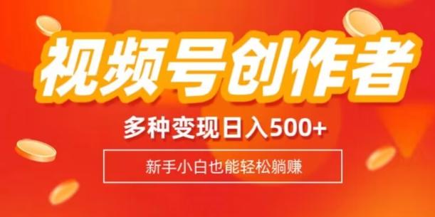 视频号创作者计划，多种变现方式，日入500+【内附1080g视频素材】-皮皮网创