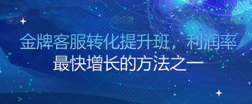 金牌客服转化提升班，利润率最快增长的方法之一-皮皮网创