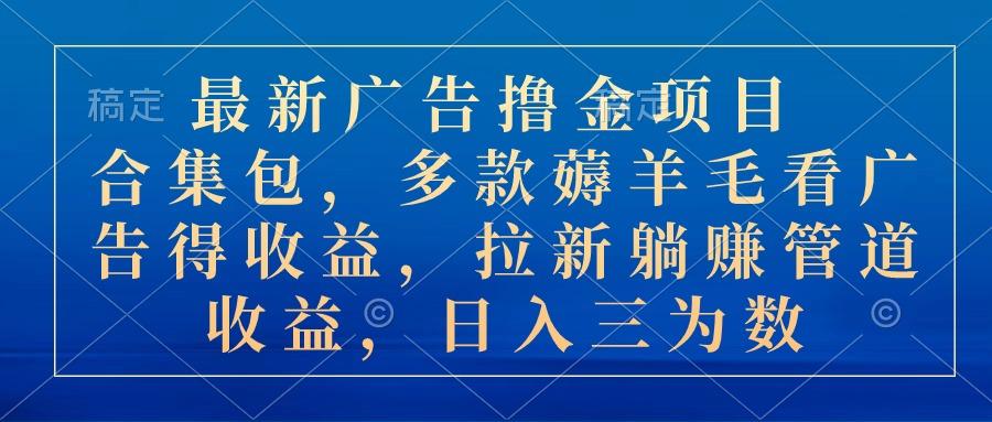 最新广告撸金项目合集包，多款薅羊毛看广告收益 拉新管道收益，日入三为数-皮皮网创