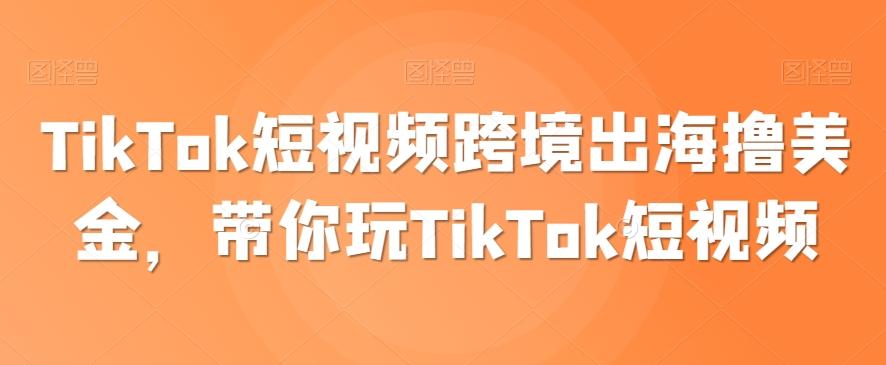 TikTok短视频跨境出海撸美金，带你玩TikTok短视频-皮皮网创
