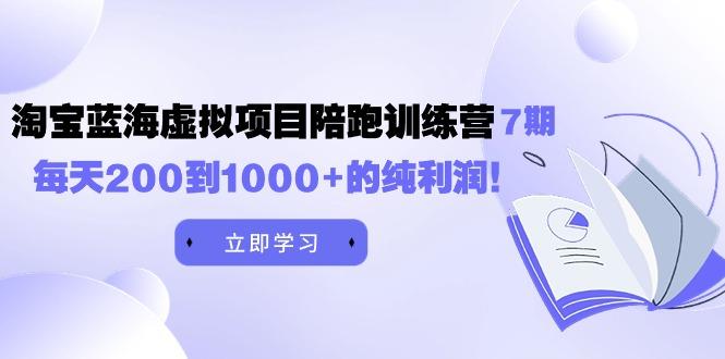 (9541期)黄岛主《淘宝蓝海虚拟项目陪跑训练营7期》每天200到1000+的纯利润-皮皮网创