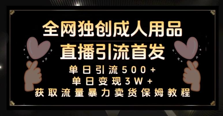 全网独创真人主播+无人直播单日引流500+，橙人用品暴力卖货单日变现3W+保姆似教学2.0【揭秘】-皮皮网创