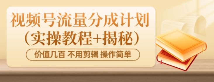 价值几百上千不用剪辑简单操作视频号流量分成计划（实操教程+揭秘）-皮皮网创