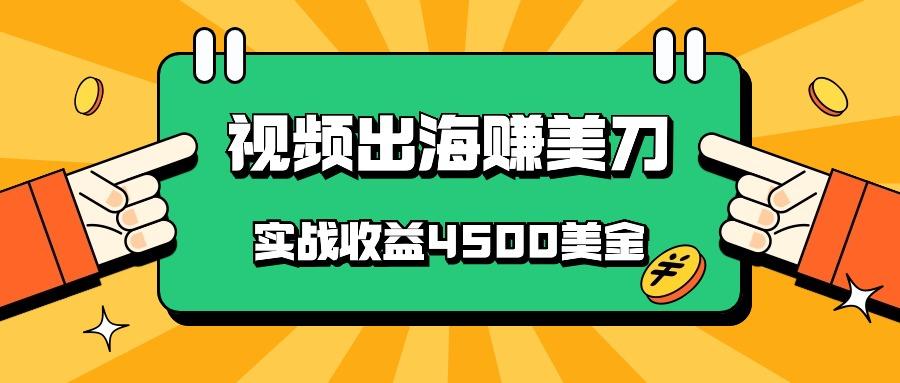 国内爆款视频出海赚美刀，实战收益4500美金，批量无脑搬运，无需经验直接上手-皮皮网创