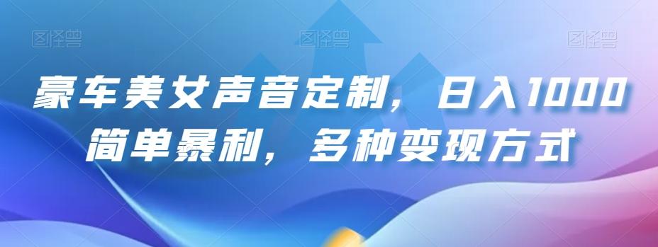 豪车美女声音定制，日入1000简单暴利，多种变现方式-皮皮网创