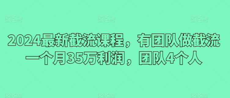 2024最新截流课程，有团队做截流一个月35万利润，团队4个人-皮皮网创