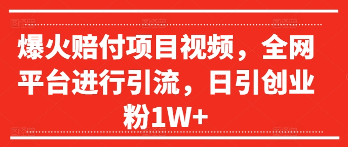 爆火赔付项目视频，全网平台进行引流，日引创业粉1W+【揭秘】-皮皮网创