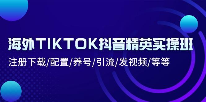 海外TIKTOK抖音精英实操班：注册下载/配置/养号/引流/发视频/等等-皮皮网创
