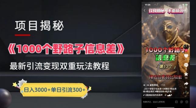 一千个野路子信息差最新玩法教程-变现+引流的玩法具体拆解【揭秘】-皮皮网创