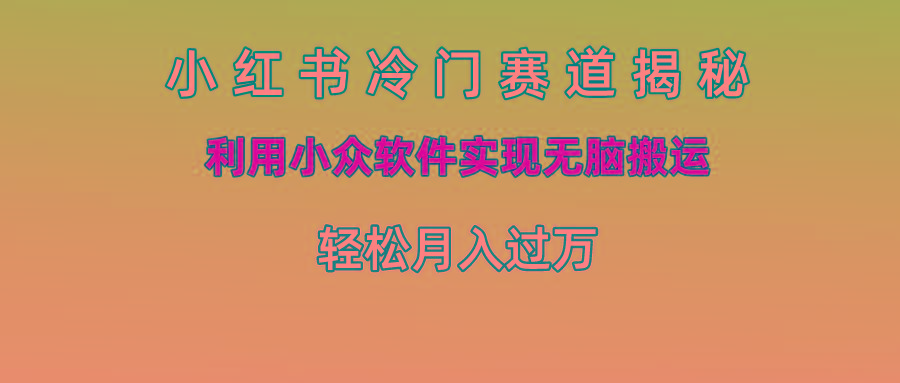 小红书冷门赛道揭秘,利用小众软件实现无脑搬运，轻松月入过万-皮皮网创