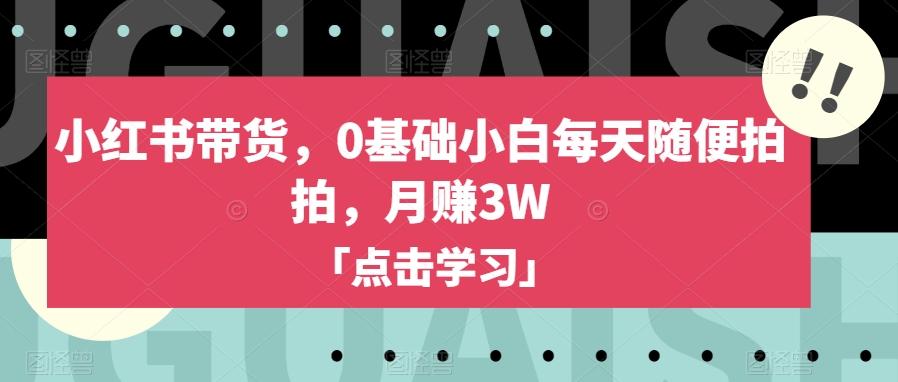 小红书带货，0基础小白每天随便拍拍，月赚3W【揭秘】-皮皮网创