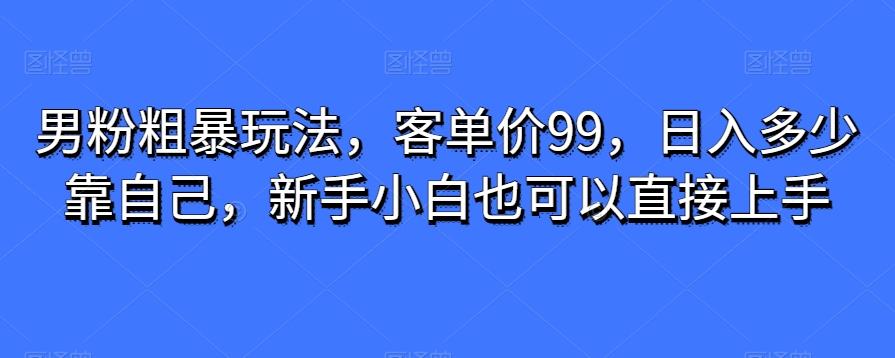 男粉粗暴玩法，客单价99，日入多少靠自己，新手小白也可以直接上手-皮皮网创