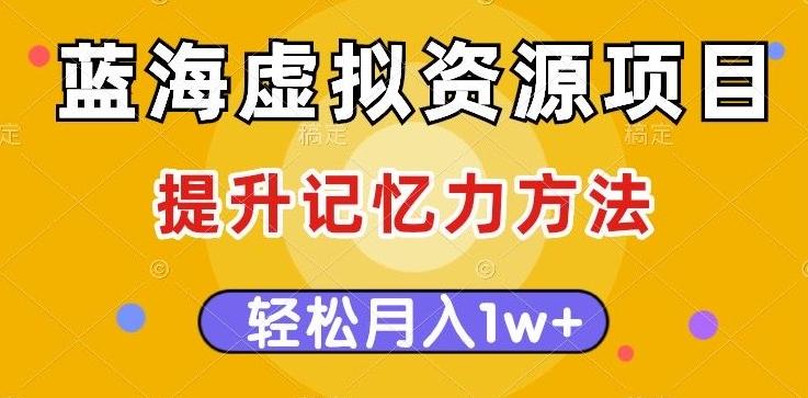 蓝海虚拟资源项目，提升记忆力方法，多种变现方式，轻松月入1w+【揭秘】-皮皮网创