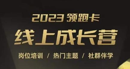2023领跑卡线上成长营，淘宝运营各岗位培训，直通车、万相台、引力魔方、引流等，帮助突破成长瓶颈-皮皮网创
