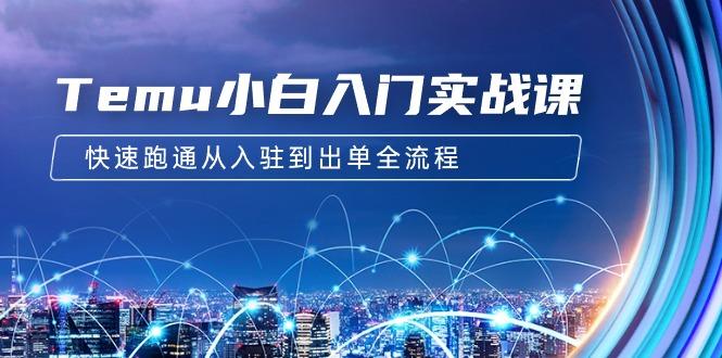 (9295期)Temu小白入门实战课：跨境拼多多电商培训 快速跑通从入驻到出单全流程-12节-皮皮网创